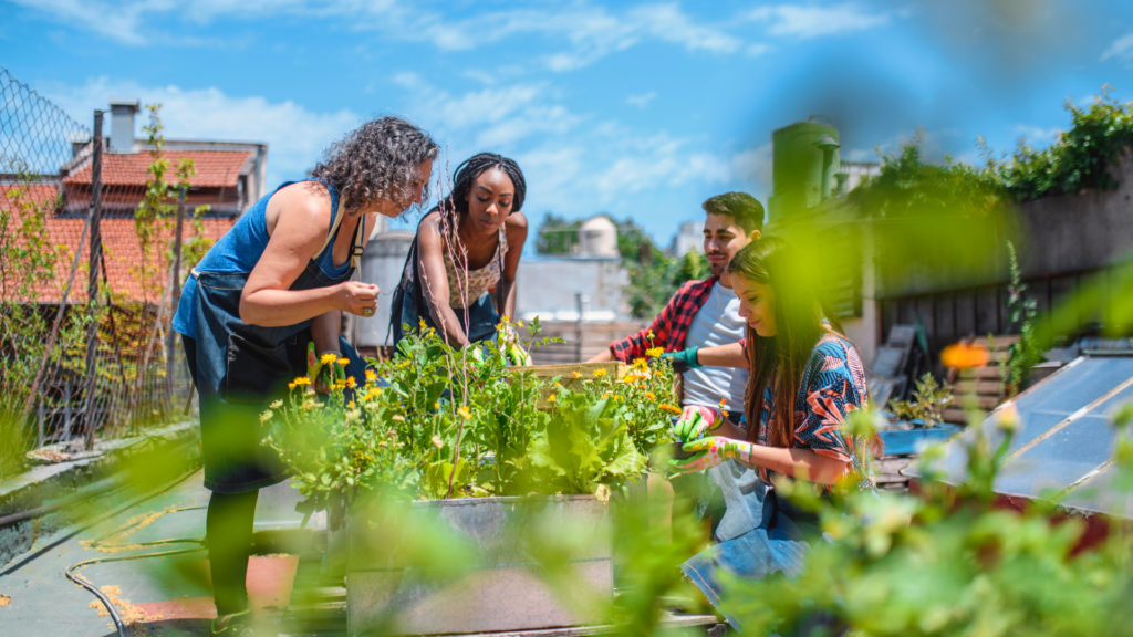 people in community garden