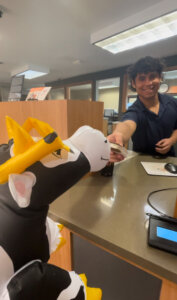 OCB colleague hands a ice cream treat to toy cow.